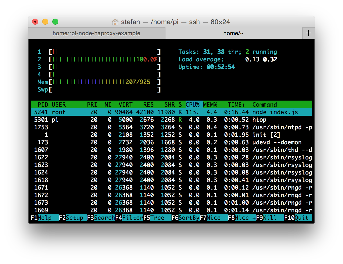 htop with 1 webserver