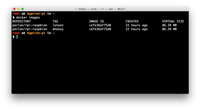 Command 'docker images'